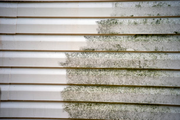 Best Carpet Removal and Disposal  in Wimauma, FL